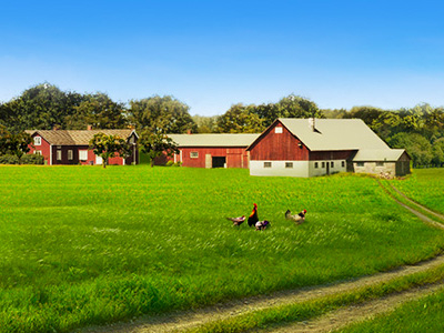 Baigėsi paraiškų rinkimas asbestinės stogo dangos keitimui pagal 2014-2020 m. programą